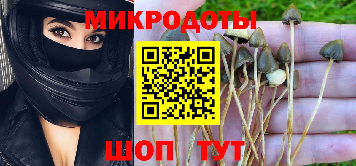 Галлюциногенные грибы GOLDEN TEACHER  Галлюциногенные грибы ЛСД  Вход с VPN  Надым 