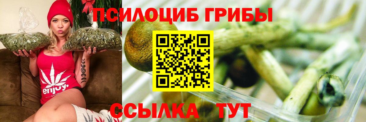 Псилоцибиновые грибы GOLDEN TEACHER Надым